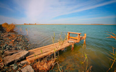 Продать волосы в Новосибирске