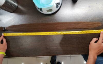 Закупаем волосы у населения напрямую | Дорого