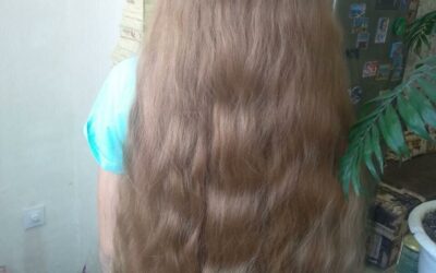 Условия приёма волос | Дорого