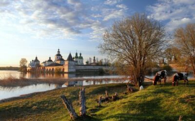 Продать волосы в Вологде | Больше месячной зарплаты за 1 день!