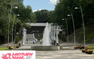 Требования к продаже волос в Воронеже