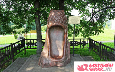 Где продать волосы в Вязьме?