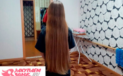 Продать волосы для дополнительного дохода