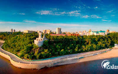 Покупаем волосы в Хабаровске | Дорого