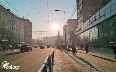 Планируете продать волосы в Мурманске? Вы по адресу!