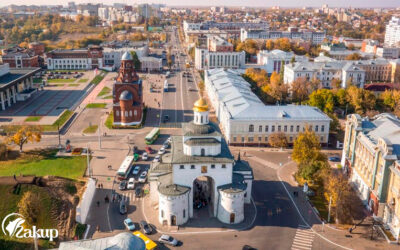Закупаем волосы во Владимире — Дорого!