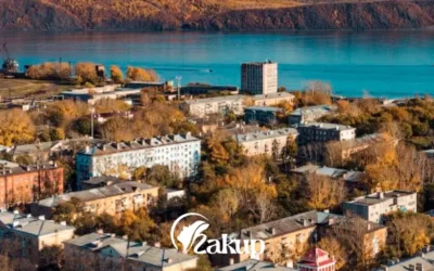 Продажа волос в Комсомольске-на-Амуре: быстрая выгода без лишних визитов