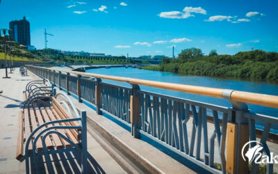 Продажа волос в Тюмени | Дорого | Честные условия