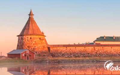 Самая выгодная продажа волос в Чите. Только у нас!